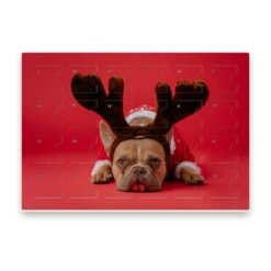 Großer Adventskalender für 24 Pralinen und Trüffel, Motiv „Hundeweihnachten“ mit Türchen und Nummern